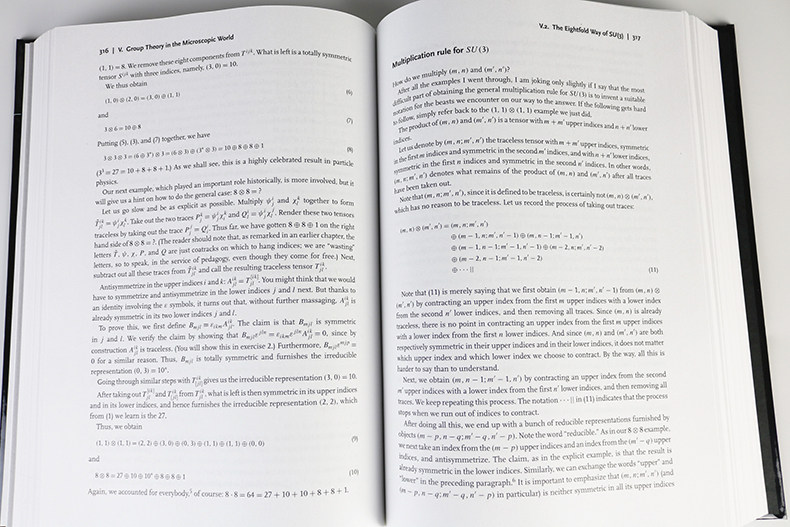 写给物理学家的群论导论 英文原版 Group Theory in a Nutshell for Physicists 简明群论 Anthony Zee徐一鸿 精装 进口英语书籍