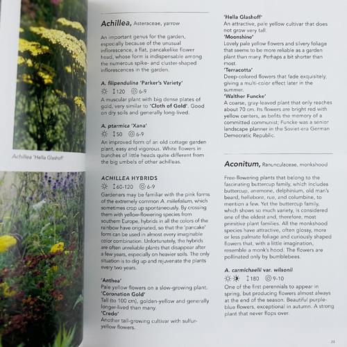 英文原版 Planting the Natural Garden 种植自然花园 自然景观设计 精装 英文版 Piet Oudolf 进口英语原版书籍 - 图0