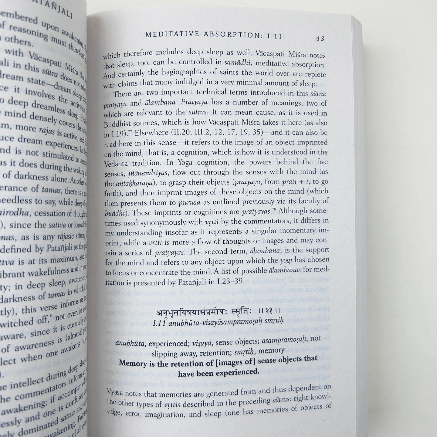 英文原版 The Yoga Sutras of Patanjali A New Edition Translation and Commentary 瑜伽之祖帕坦伽利 瑜伽指南 英文版 - 图2