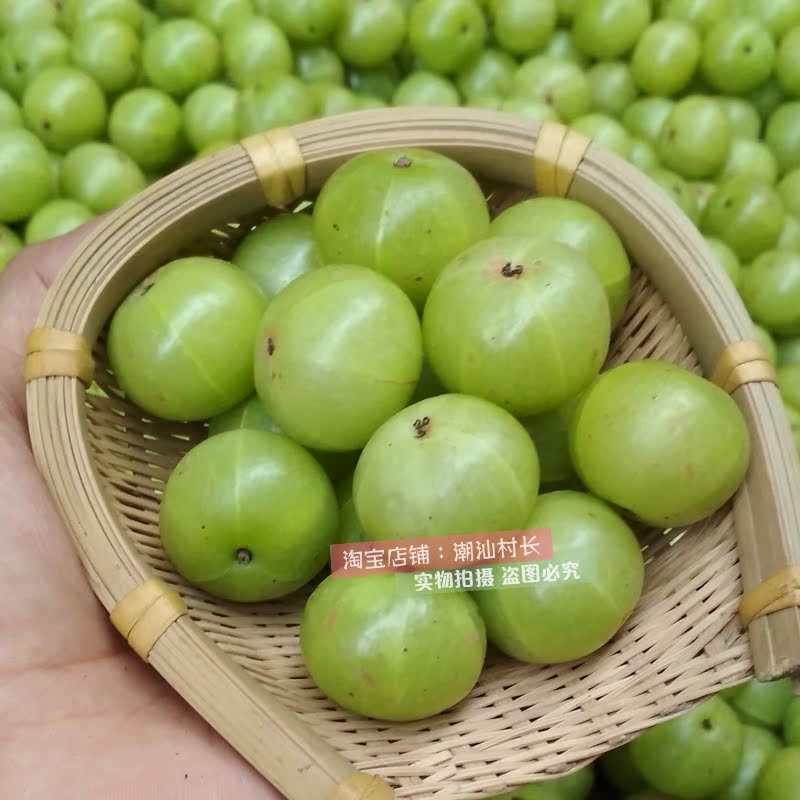 潮汕油甘茶油甘子余甘子牛甘果干茶油柑滇橄榄干泡水喝瓶装250克-图0