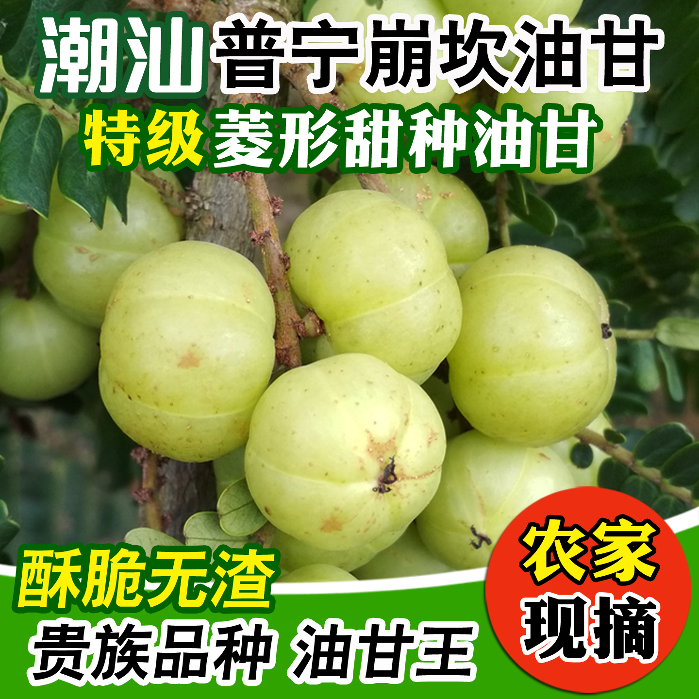 潮汕普宁崩坎甜油甘新鲜油甘果牛甘果余甘果滇橄榄甜种柿饼甜油柑 - 图0