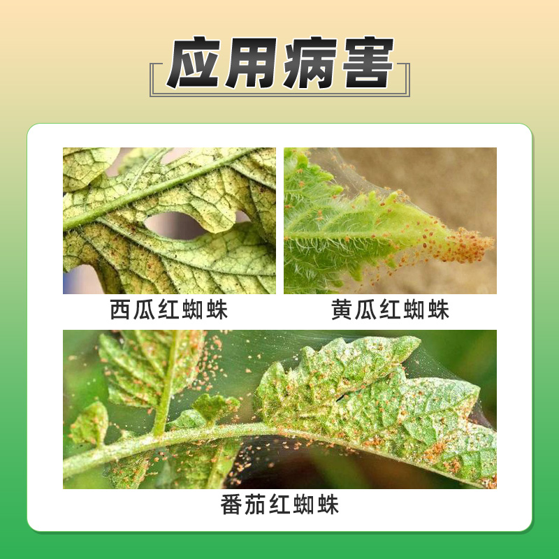 克欧森青皮桔油橙皮精油农用进口农药助剂叶面肥肥料渗透剂增效剂 - 图0