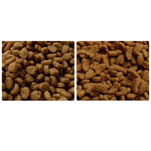 夸克猫粮2.5kg鱼味牛肉味5斤幼猫成猫挑嘴猫主粮1斤简装营养宠物 - 图3