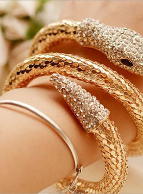 路易同款手镯项饰 欧美感个性时尚夸张蛇动物重金属项链