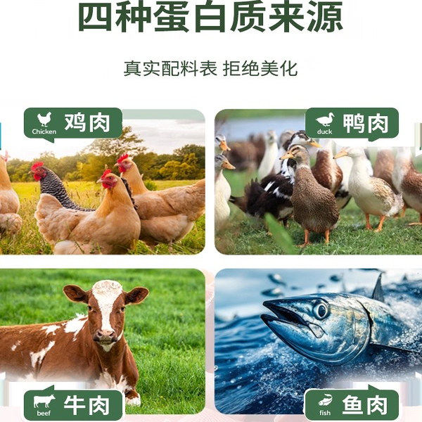 明亮与狗5kg狗粮全价全犬种全犬期犬粮通用膨化粮小颗粒中大型犬,淘宝优惠券,粉丝福利购,淘宝优惠卷