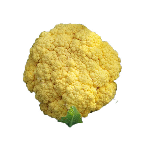 紫花菜种子黄绿紫菜花花椰菜四季菜花水果秋春季籽禾之元种业 - 图3