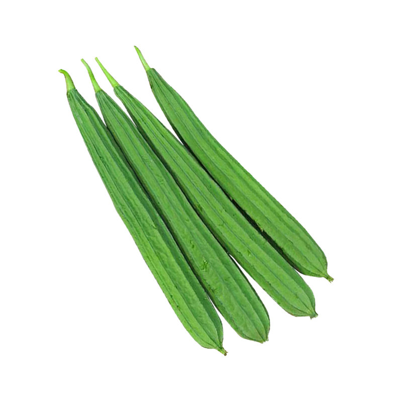 水丝瓜种子农家特菜棱瓜种子棱丝瓜种籽四季丝瓜春季蔬菜种孑爬藤,淘宝优惠券,粉丝福利购,淘宝优惠卷