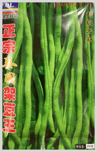 寿光蔬菜泰国架豆王种子芸豆菜豆四季豆青高产春季夏秋冬四季籽孑-图1