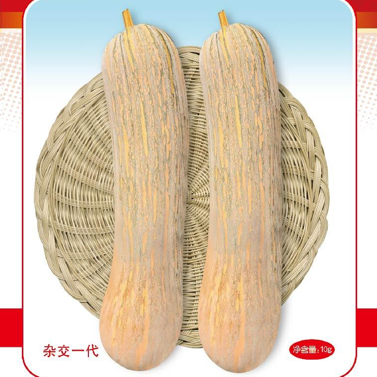 健美蜜本南瓜种子超甜粉面密本南瓜种子甜面南瓜种籽早熟高产蔬菜,淘宝优惠券,粉丝福利购,淘宝优惠卷