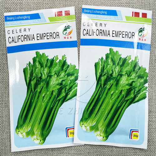 加洲王芹菜种子西芹四季蔬菜青菜西芹种子春夏秋冬香芹种籽孑 - 图1