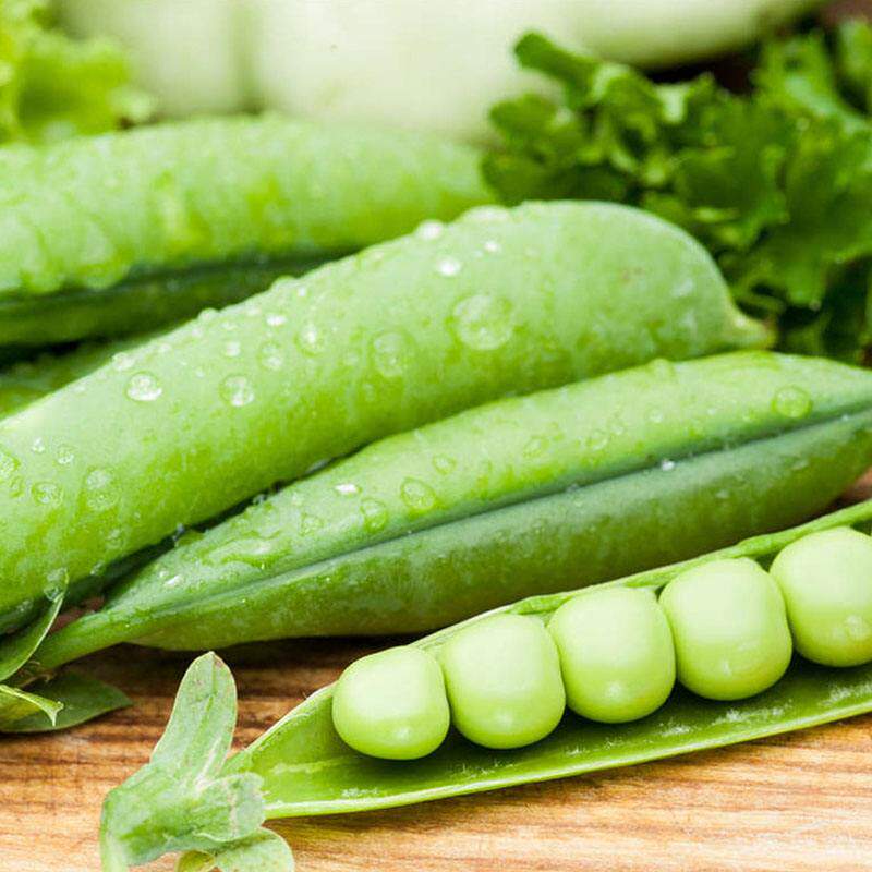 樱花甜豌豆种子甜脆青豆台湾水果四季农家翠春季冬季荚豆春季秋籽,淘宝优惠券,粉丝福利购,淘宝优惠卷