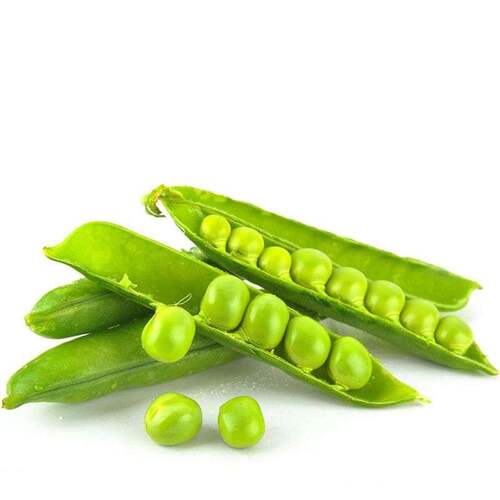 樱花甜豌豆种子甜脆青豆台湾水果四季农家翠春季冬季荚豆春季秋籽 - 图2
