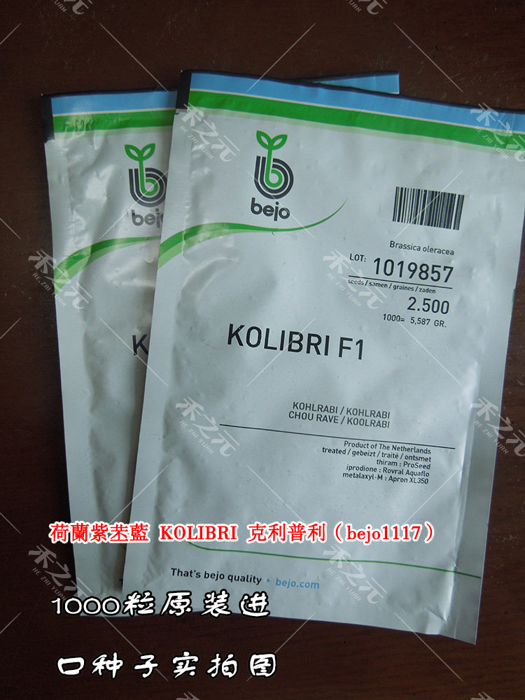 寿光蔬菜种子紫苤兰种籽 荷兰进口水果紫苤蓝种子四季春季秋冬栽,淘宝优惠券,粉丝福利购,淘宝优惠卷