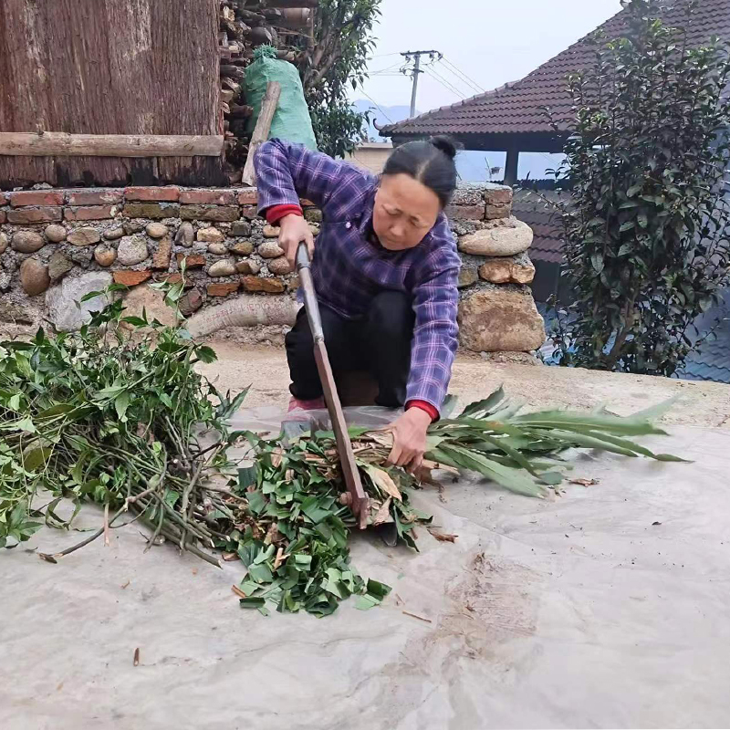 从江瑶族药浴祛湿寒通经络活血化瘀汗脚脚气泡脚药包30包x40克 - 图0