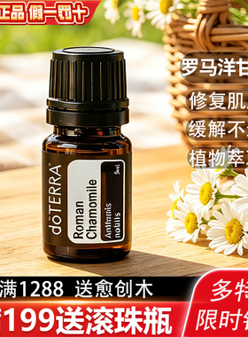多特瑞罗马洋甘菊钜惠假一罚十