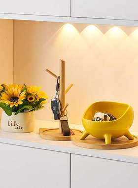 轻奢鞋柜门口进门入户玄关放钥匙的收纳盒摆件客厅遥控器装饰托盘