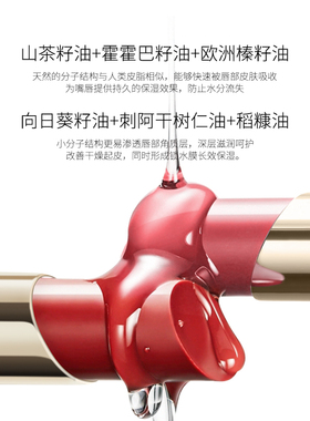 DDK臻彩奢华柔润口红淡化唇纹去死皮保湿滋润口红有色润唇膏