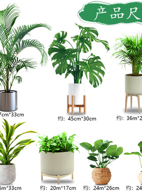 3d立体小清新绿植遮丑墙贴纸仿真盆栽绿箩装饰补洞污垢划痕墙贴画