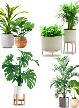 3d立体小清新绿植遮丑墙贴纸
