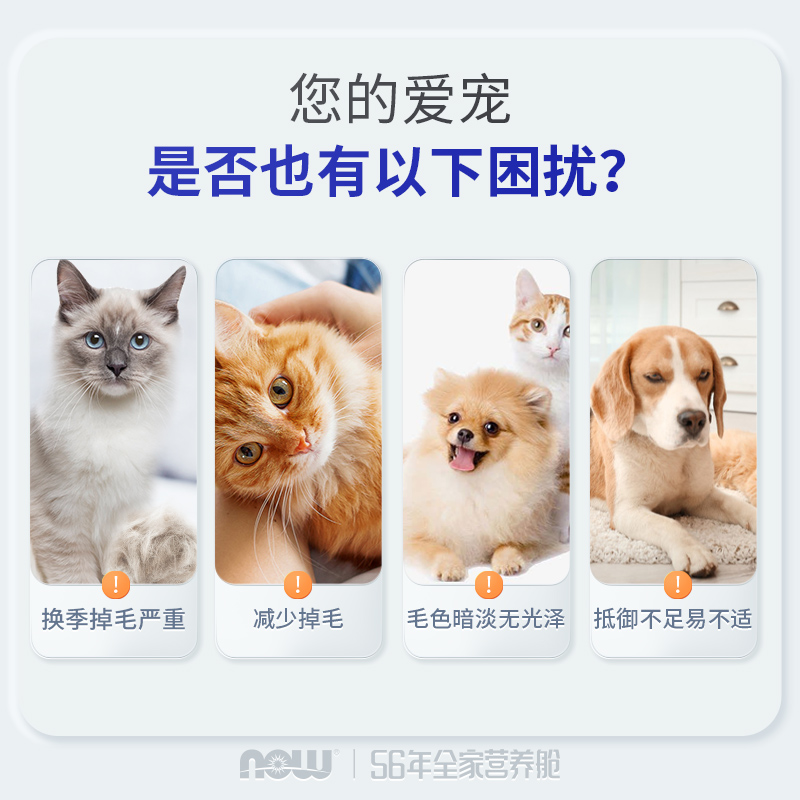 now foods鱼油猫用狗狗猫咪宠物专用omega3深海鱼软胶囊人用诺奥 - 图2