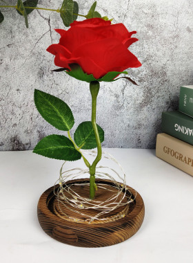 玻璃罩玫瑰花永生花led求婚婚房