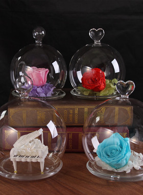 永生花玻璃罩圆形水晶球形防尘罩