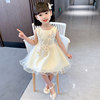 Girls summer dress 2025 new fashionable little girl vest princess skirt gauze skirt baby girl birthday dress
