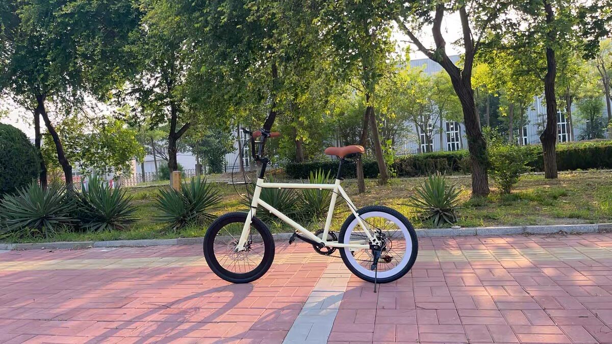 图5