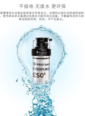 爱惠浦（Everpure） ESO6净水器主滤芯软化水质净水机替换滤芯