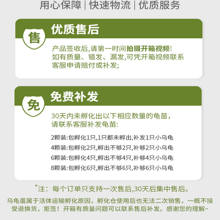 六一儿童节玩具女孩生日礼物10岁以上6男童小学生2026的孵化乌龟5