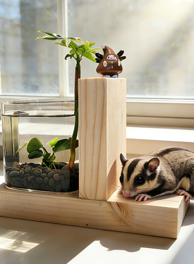 创意斗鱼缸摆件水培植物节日送礼