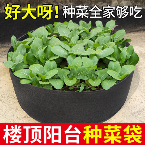 美植袋种植袋特大楼顶种菜防腐木种植花箱阳台无纺布加厚蔬果透气 - 图2
