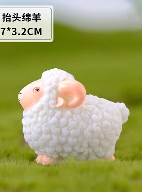手工摄影盆栽可爱风造景小饰品