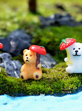 微景观可爱风多肉盆栽手工小摆件