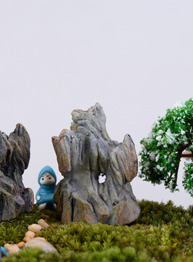 微景观园林多肉盆栽摄影生态瓶