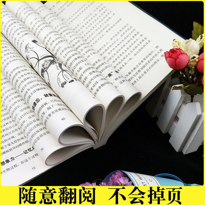 正版现货 超级记忆术大全集全套 最强大脑逆转思维风暴超强记忆术 记忆力训练法书籍小学生中学高中记忆宫殿记忆力训练书学霸都在 - 图2