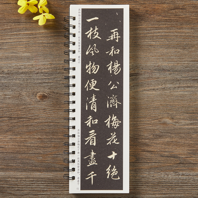 【现货正版】赵孟頫梅花诗行书毛笔书法字帖原大加放大赵孟俯经典碑帖临摹字卡全文初学者成人入门练习近距离临帖卡诗帖 - 图1