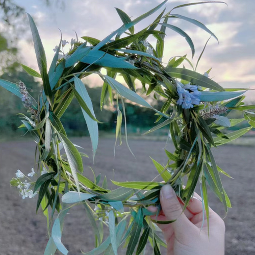新鲜杨柳树枝柳树枝条柳树芽柳树条树叶乔迁搬新家插门插花盆饰品 - 图2