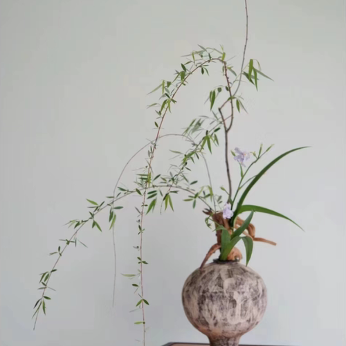 新鲜杨柳树枝柳树枝条柳树芽柳树条树叶乔迁搬新家插门插花盆饰品 - 图3