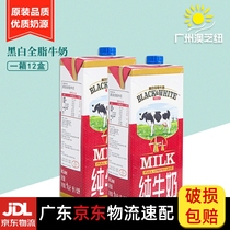 Black and white full fat milk whole box 1L* 12 boxes pure milk raw flavor milk coffee raw material Guangdong Shunfeng
