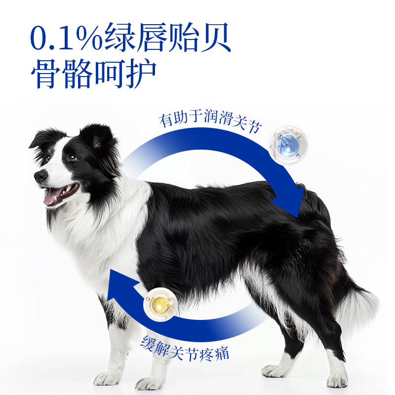 【U先尝鲜】海洋之星老年期犬粮三文鱼配方200g试吃装