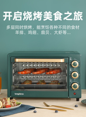 龙的家用多功能电烤箱20升