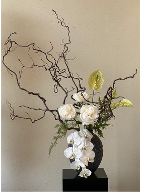 龙枣枝龙爪干支干树枝侘寂风干花永生花天然弯曲摆件客厅插花装饰