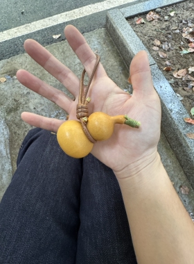 16.9两根皮绳小葫芦腰绳包挂蜡皮绳福禄挂绳创意挂件可调节