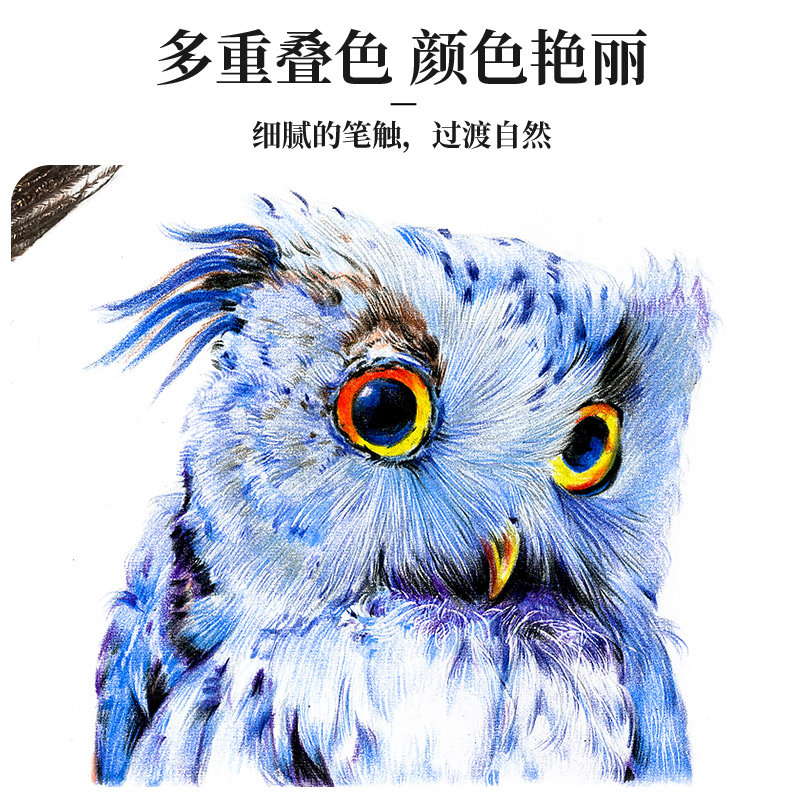 英雄正品776油性彩色铅笔24/36/48色手绘涂色美术画画777彩铅铅笔,淘宝优惠券,粉丝福利购,淘宝优惠卷