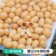 Distant Dream Fish Skin Peanut Kernels Peanut Kernels Independent Small Packaging Snacks Nuts Roasted Seeds Peanuts Good Food