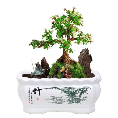 长方形花盆陶瓷创意个性特大号清仓特价带托盘家用绿萝多肉花盆 - 图3