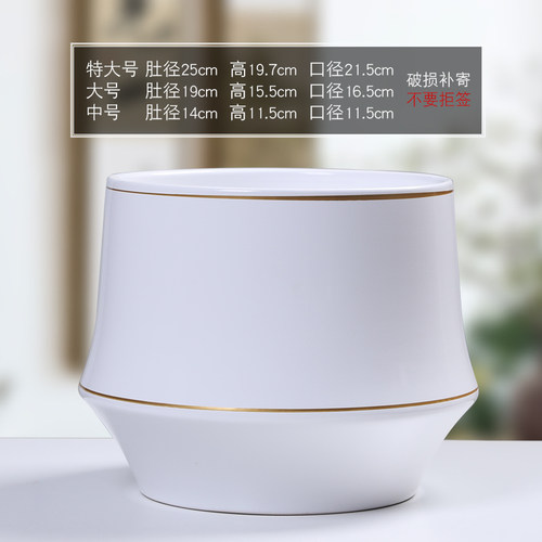 简约欧式陶瓷花盆亚光特大口径创意家用阳台蝴蝶兰多肉绿萝花盆 - 图2