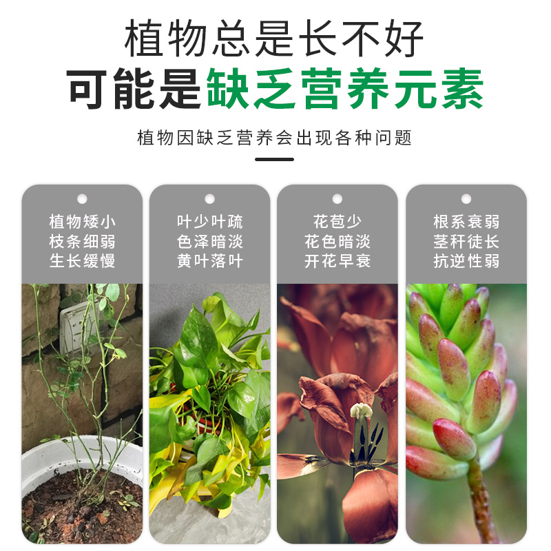 奥绿肥318s多肉植物专用肥缓释肥花肥料A2通用型多肉月季肥料兰花-图0