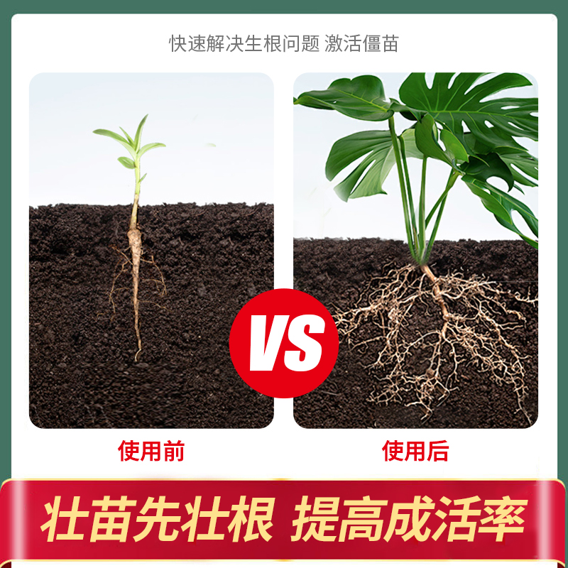 快速生根液植物通用粉剂扦插生根水强力营养液多肉生根剂土壤种植 - 图0